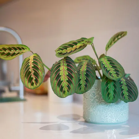 Oliveirinhas Boutique Flats Appartement Oporto