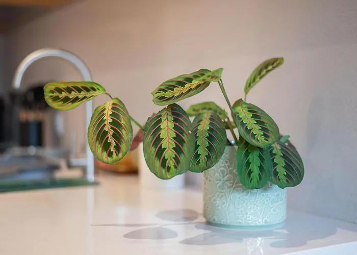 Oliveirinhas Boutique Flats Apartmán Porto